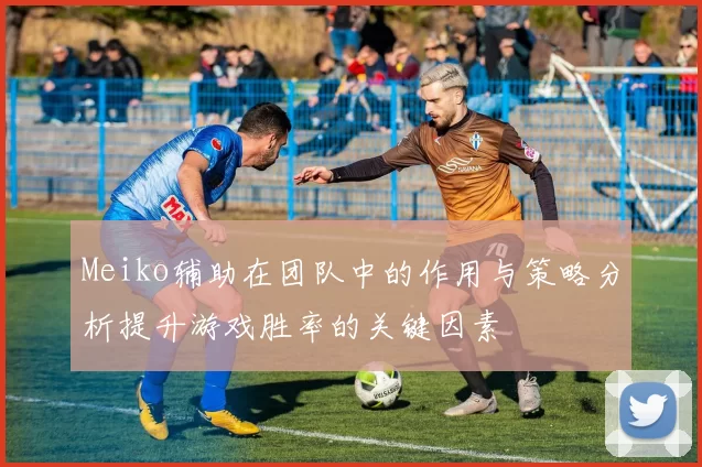 Meiko辅助在团队中的作用与策略分析提升游戏胜率的关键因素