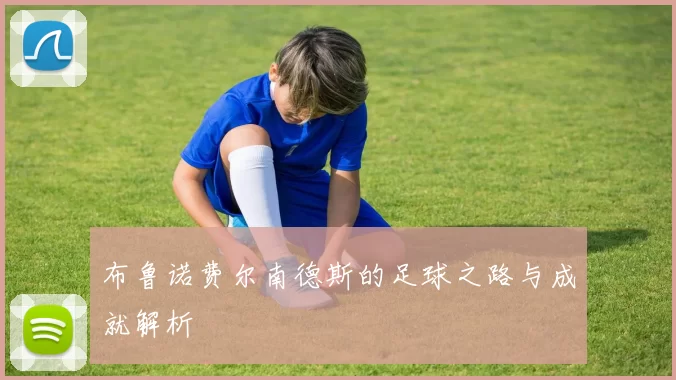 布鲁诺费尔南德斯的足球之路与成就解析