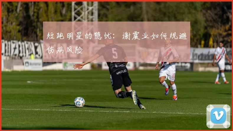 短跑明星的隐忧：谢震业如何规避伤病风险