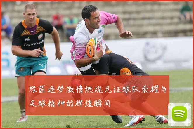 绿茵逐梦激情燃烧见证球队荣耀与足球精神的辉煌瞬间