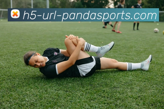 熊猫体育APP 封面图